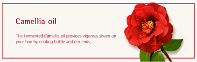 Ryo Damage Care & Nourishing Conditioner 500ml(16.9oz) Hair strength and thickness,