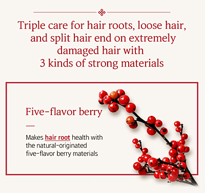 Ryo Damage Care & Nourishing Conditioner 500ml(16.9oz) Hair strength and thickness,